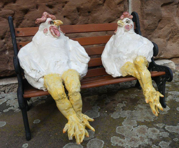 Hühner auf der Bank